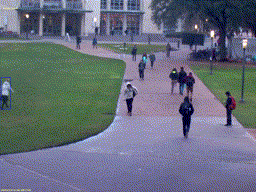 Person on Grass Anomaly